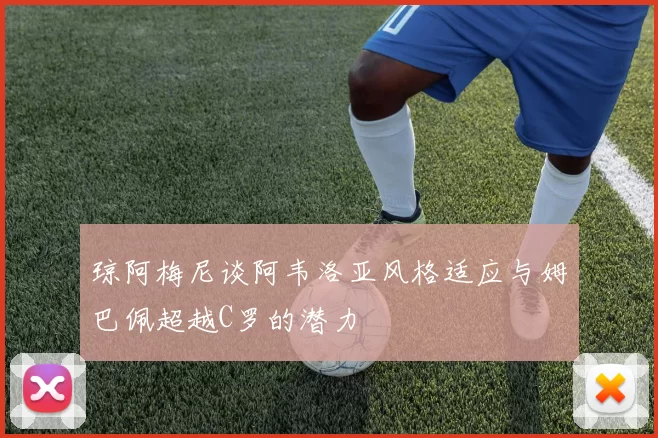 琼阿梅尼谈阿韦洛亚风格适应与姆巴佩超越C罗的潜力