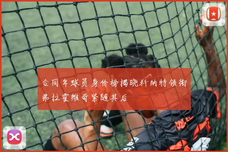 合同年球员身价榜揭晓科纳特领衔弗拉霍维奇紧随其后